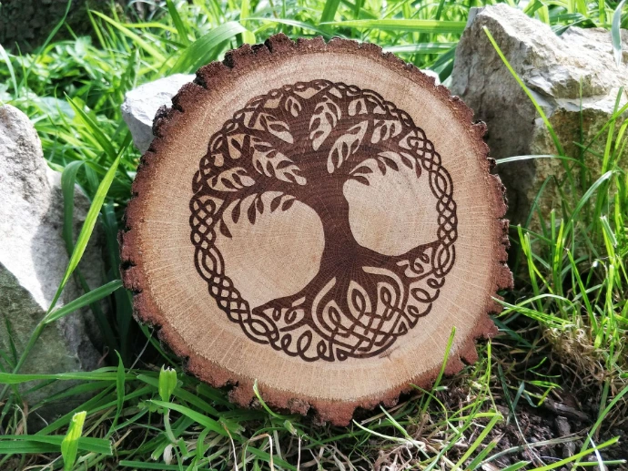 gravure-laser-ecorce-yggdrasil