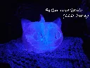 impression-3d-chat-citrouille-lampe-fushia-translucide-led-blanc-led-bleu.webp