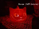 impression-3d-chat-citrouille-lampe-orange-led-blanc.webp