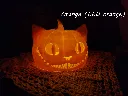 impression-3d-chat-citrouille-lampe-orange-led-orange.webp