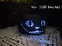 impression-3d-chat-citrouille-lampe-noir-led-blanc.webp