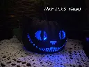 impression-3d-chat-citrouille-lampe-noir-led-bleu.webp